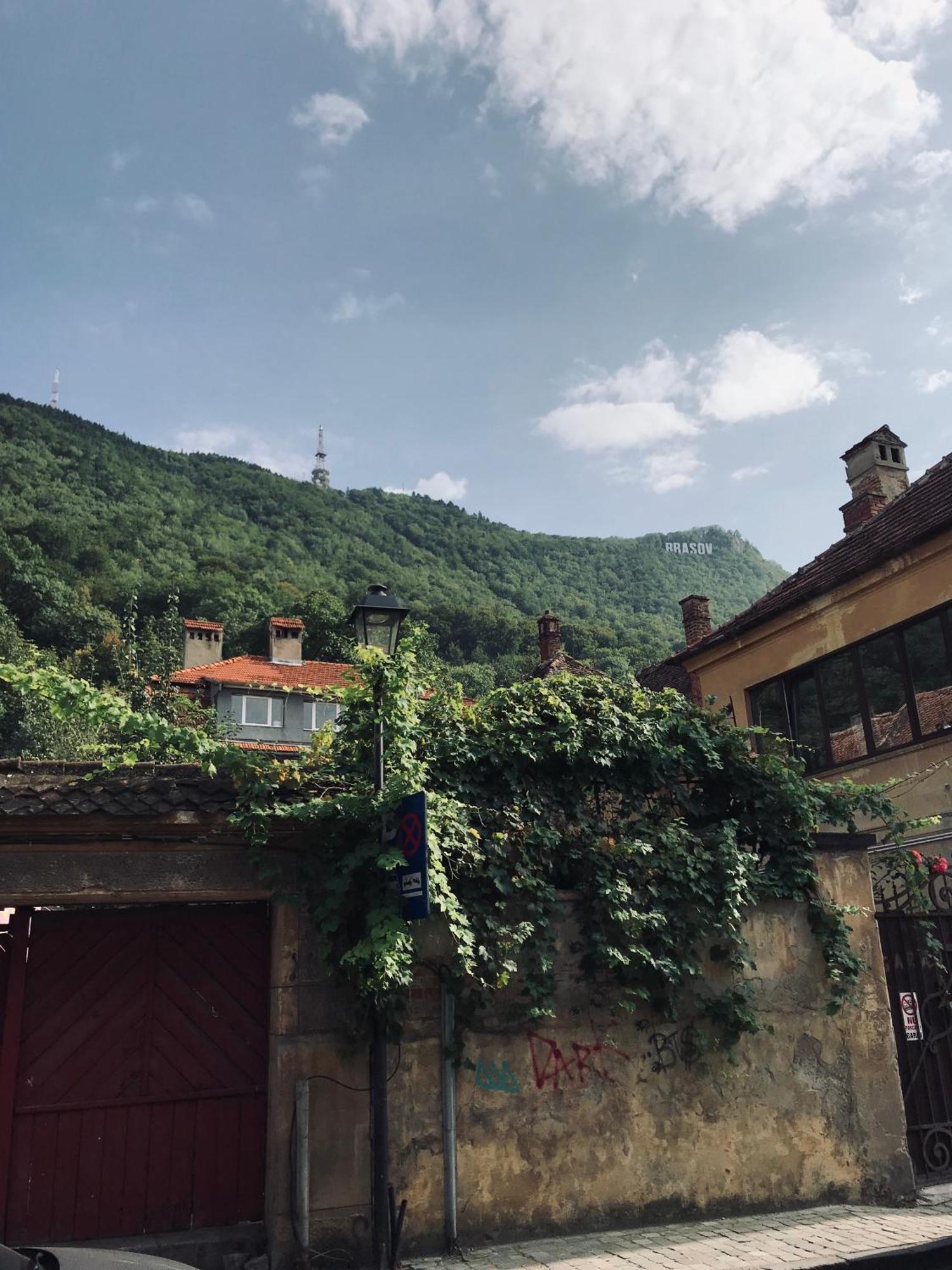 Lovely Brasov Flat With Patio And Mountain Views מראה חיצוני תמונה